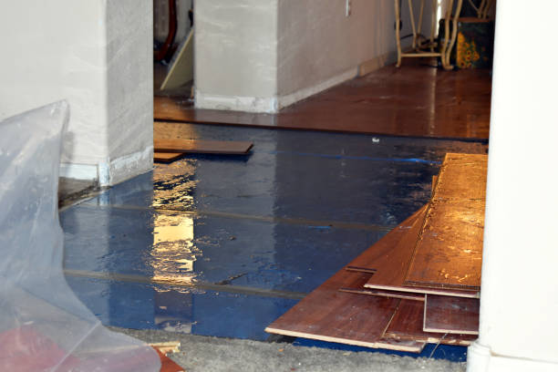 Professional Basement Water Removal technician working in Richmond, TX
